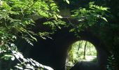Excursión A pie Gréasque - La forêt de Gréasque - Photo 2