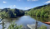 Randonnée Marche Houffalize - lac de Nisramont  - Photo 20