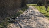 Trail Walking Florennes - Balade à Florennes  - Photo 1