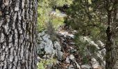 Trail Walking La Palud-sur-Verdon - Bastidon la palud  - Photo 15