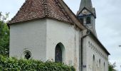 Trail On foot Unknown - Wilder Mann 016, Naturpark Vorderer Bayerischer Wald - Photo 2