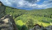 Randonnée Marche Bouillon - Poupehan-Frahan-Rochehaut - Photo 10