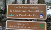 Percorso Marcia Chamonix-Mont-Blanc - CHAMONIX... depuis les Praz vers Argentière. - Photo 1