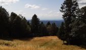 Tour Wandern Plateau d'Hauteville - Chemin des Crêtes La Praille - Photo 5