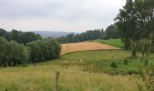 Tour Elektrofahrrad Ronse - tour Chapelle Wittentack et chemins - Photo 5