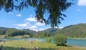 Randonnée Marche Charix - lac de genin - bretouze /  retour - Photo 2