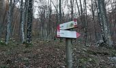 Trail On foot Venzone - IT-704 - Photo 3
