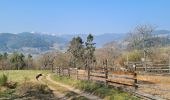 Excursión Senderismo Munster - Gunsbach & le sentier Schweitzer par Haslach - Photo 7