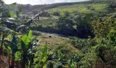 Excursión Senderismo Le Lorrain - Boucle Vallon - Morne-Bois - Seguineau - Photo 1