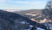 Tocht Stappen Ventron - Ventron col du colet  - Photo 6