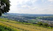 Tour Zu Fuß Diekirch - Fleche Bleu Diekirch II (ancien) - Photo 4