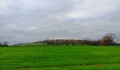 Randonnée Marche Aywaille - de Tlff à Sur le Tige -  autour du bois de Warnoumont - Photo 19