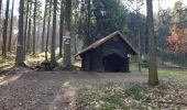 Trail Walking Dambach-la-Ville - Traversée du massif du Bernstein - Photo 4