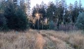 Trail Walking Eupen - nahtsief court - Photo 10