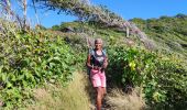 Tocht Stappen Le Vauclin - 2eme parcours de la pointe du vauclin et trou cochon  - Photo 12