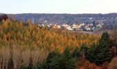 Percorso A piedi Sangerhausen - Wildrosenpfad - Photo 9