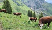 Randonnée Marche Glières-Val-de-Borne - BARGY: LAC DE LESSY - Photo 6