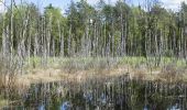 Percorso A piedi Varsavia - Ścieżka biegowa 