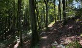 Trail Walking Steinfort - Steinfort  12,5 km  - Photo 10