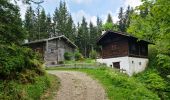 Tocht Te voet Oberaudorf - Wanderweg 8 - Oberaudorf - Photo 8