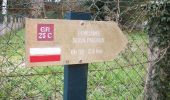 Tour Wandern Roncherolles-sur-le-Vivier - 20230328-Roncherolles - Photo 13