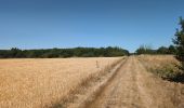 Tocht Stappen Courçay - Courçay - PRs Reignac-sur-Indre GR46 - 18.3km 185m 5h25 (1h05) - 2025 07 04 - Photo 9