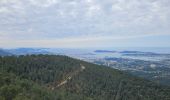 Tour Wandern Ollioules - Châteauvallon - Ollioules - Photo 13