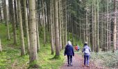 Tocht Stappen La Roche-en-Ardenne - Vecmont - Photo 6