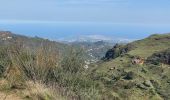 Percorso Marcia Tejeda - Barranco de la Mina (Gran Canaria) - Photo 15