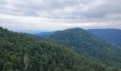 Tour Wandern Wegscheid - Sattelboden Stahlberg - Photo 19