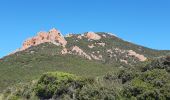 Trail Walking Saint-Raphaël - Cap Roux  - Photo 6