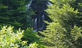 Percorso Marcia Aulus-les-Bains - Cascade de Fouillet Ariége - Photo 4