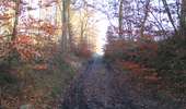 Randonnée Marche Saint-Jean-aux-Bois - en forêt de Compiègne_33_les Tournantes de l'étang Saint-Jean et des Prés Saint-Jean - Photo 5