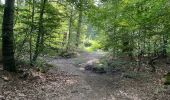 Trail Walking Vivières - en Forêt de Retz_88_autour du Regard Saint-Hubert et du Rond de la Reine - Photo 18