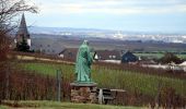 Randonnée A pied Oestrich-Winkel - Oestricher Flötenweg - Photo 2