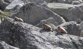 Trail On foot Stilfs - Stelvio - IT-5 - Photo 6