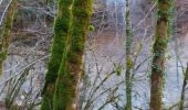 Tour Wandern Ornans - Bonnevaux Le Prieuré rando CAF 3 déc 2019 - Photo 3