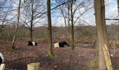 Tour Wandern Belœil - Stambruges, Beloeil, les Ecacheries, mer de sable, Stambruges - Photo 6