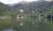 Trail Walking La Bresse - Le Hohneck et ses lacs d'altitude - Photo 17