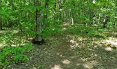 Trail Walking Vendôme - Randonnée dans le Bois de l'Oratoire à Vendôme  - Photo 13