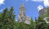 Trail On foot Domegge di Cadore - IT-352 - Photo 4