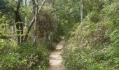 Trail Walking Flémalle - entre Sous les Roches et Aigremont  - Photo 19