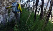 Tour Wandern Voreppe - le trou au loup  - Photo 4