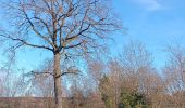 Trail Walking Theux - la reid . charmille . vertbuisson / retour en boucle - Photo 2