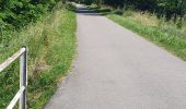 Excursión Bici de montaña Port-Valais - st gingolf - Photo 2