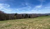 Trail Walking Metzeral - 24 04 14 autour d’Uffrain - Photo 5