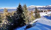 Excursión Esquí de fondo Selonnet - 20210218 - Tête grosse - Chabanon - Selonnet - Photo 4