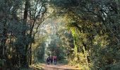 Randonnée Marche Saint-Martin-le-Vieil - le sentier de St Martin  - Photo 4