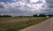 Tocht Te voet Someren - Keelvenroute - Photo 3