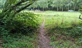 Trail Walking Vendôme - Vendôme Bois de l'Oratoire Circuit 1 - Photo 13